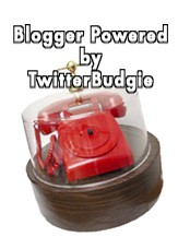 Powered by TwitterBudgie