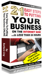 21 Days to Putting Your Business on the Internet NOW