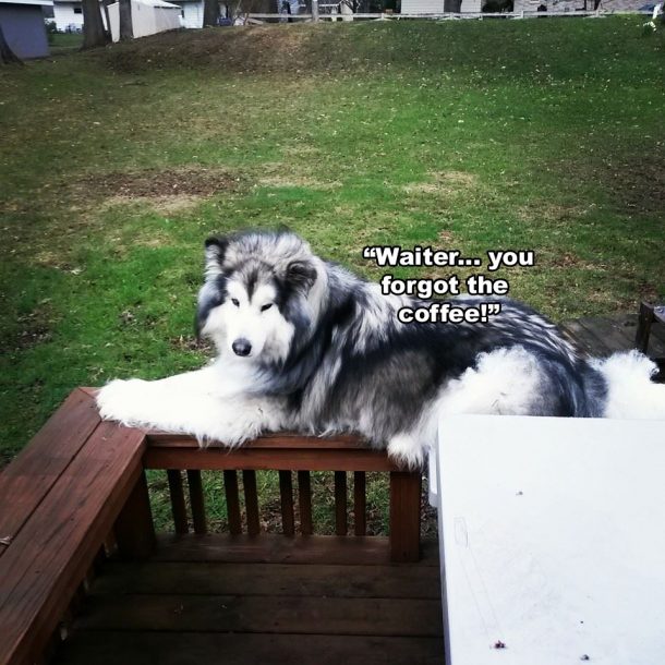 ☕ Your Saturday Morning Perkup 1199, Controversial, Conspiracy