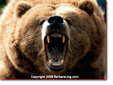 Dealing with Anger