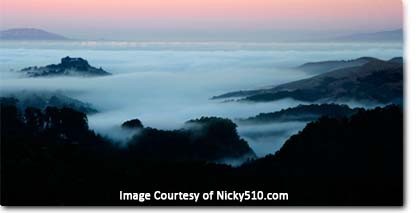 Fog