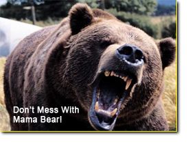 Don't mess with mama bear!