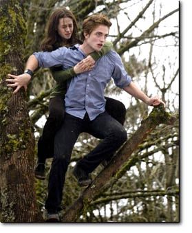 Twilight Forums!