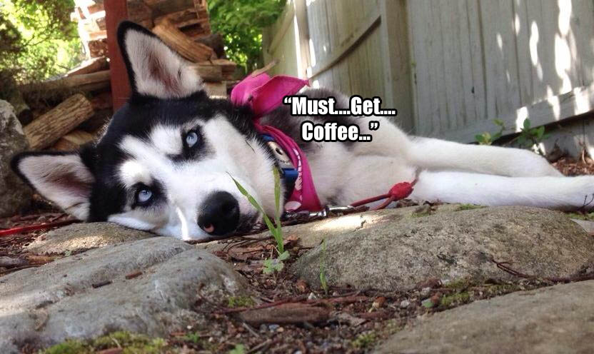 ☕ Your Thursday Morning Perkup: 1846, Zombified, no, I really mean it, did I mention zombies?