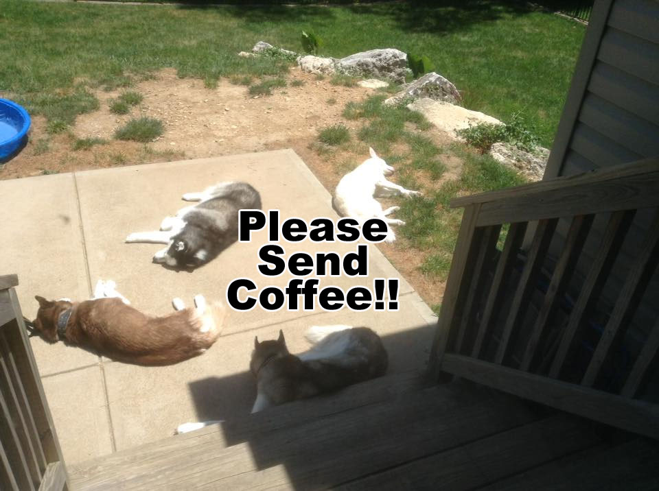 ☕ Your Saturday Morning Perkup:  1858, Low Hanging eCom, Strength, Azon, PLR, more!