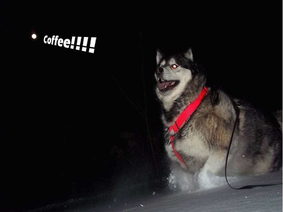 ☕ Your Friday Morning Perkup:  1487, Blah Tday, Black Friday, PLR, Affiliate Goodness, more!