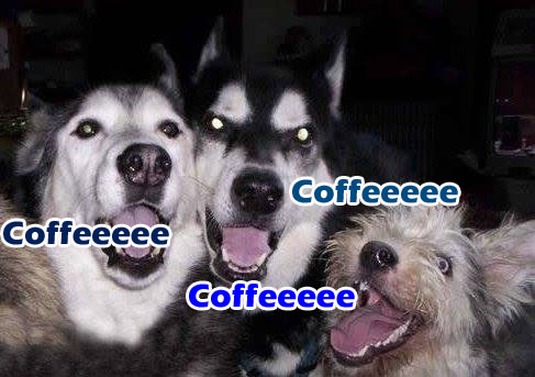 ☕ Your Monday Morning Perkup: 1933,  Suicide, Rainbows, Snapchat, PLR, Arbitrage, more!