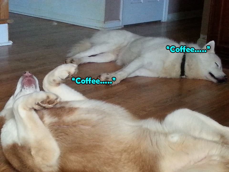 ☕ Your Thursday Morning Perkup: 1650, Fear, Amazon Video, Arbitrage, Membership, more!