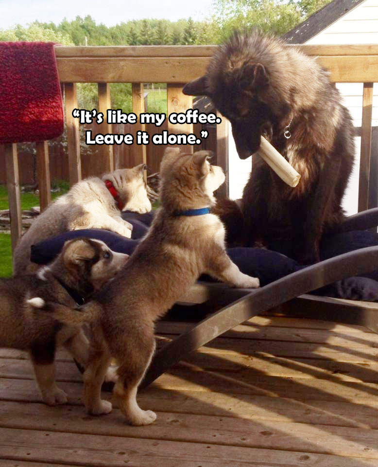 ☕ Your Friday Morning Perkup:  1874, Kindle Trends, Instagram, a MiniChallenge, WP, more!