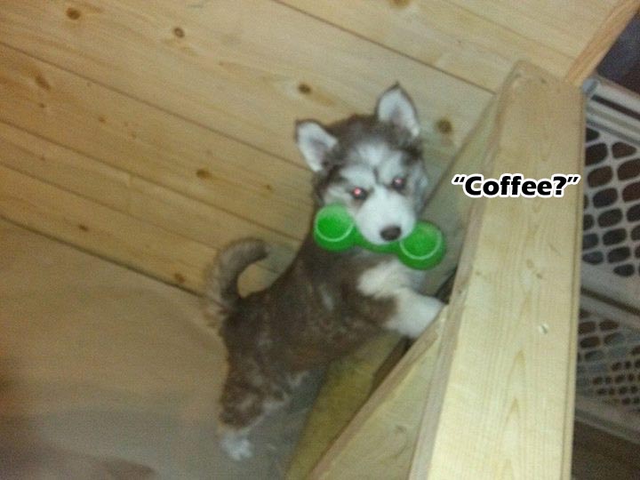 ☕ Your Monday Morning Perkup:   1777, Print on Demand, SO Drained, Prime Day, more!