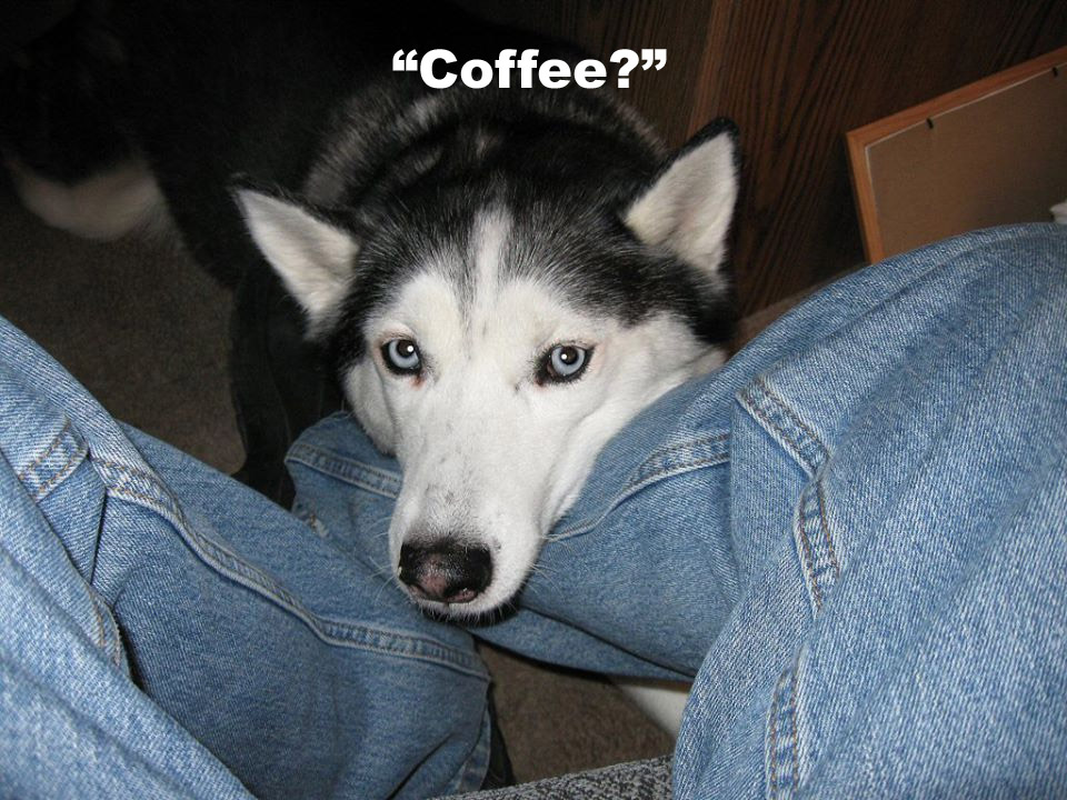 ☕ Your Monday Morning Perkup: 1876, PiggyMoose!, Shyness, Video, Aff, more! ☕ Your Monday Morning Perkup: 1876, PiggyMoose!, Shyness, Video, Aff, more!