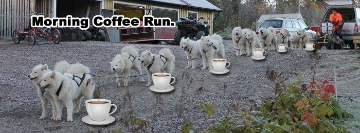 ☕ Your Sun Perkup: Learn From This, Big Coupons, Jewelry, THUD, Boomers,