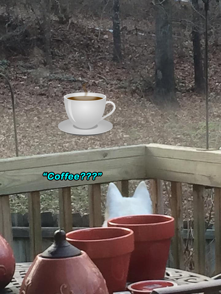 ☕ Your Friday Morning Perkup:  1909, Offline, KindleSpy Coupon, Videos, Guts, Lazy Affiliates, Zero Sleep, more!