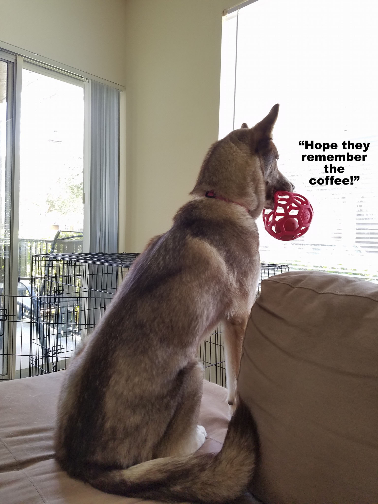 ☕ Your Saturday Morning Perkup:  1920, Fiverr, 2017, Amazon Direct, Boomers, more!