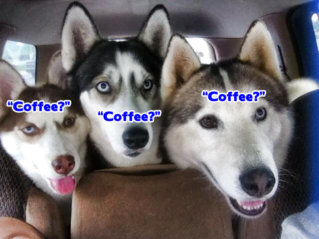 ☕ Your Friday Morning Perkup:  1791, Angst, Cause and Effect, eCom, Danger, Newbies,