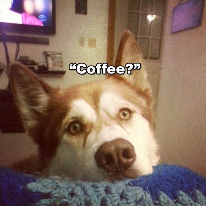 ☕ Your Thursday Perkup:  Returns!  plus passive affiliate marketing, Toy Stores Created, 2019 speed, 5 Stars, more!