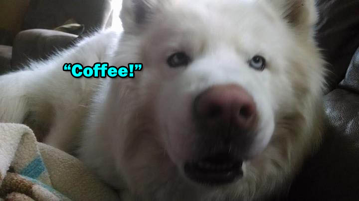☕ Your Monday Morning Perkup:  1907, Us vs Them, Operation 10K, Instagram Coupon Still Good, Copywriting, more!