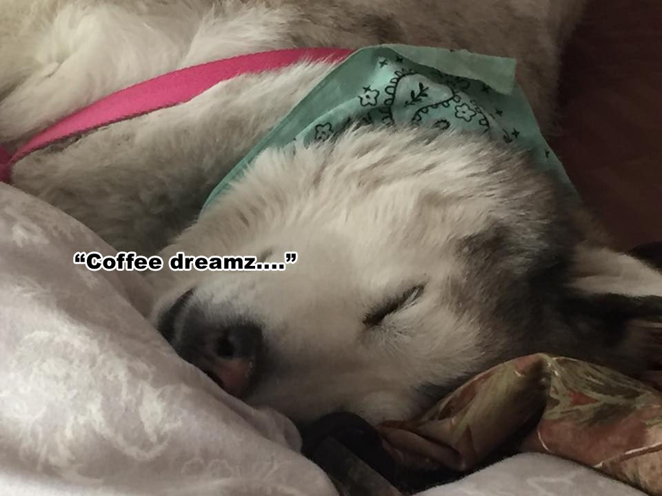☕ Your Thursday Morning Perkup:  2011, 3 thousand, PR Templates, Save Too Hundred, FB Ads, PLR, more!