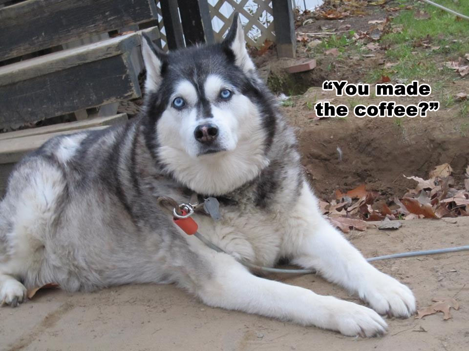☕ Your Tuesday Morning Perkup:  1990, SO PROUD, PLR, Viral Marketing, Lazy Affiliates, more!