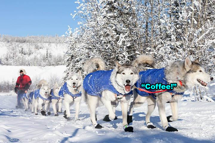 ☕ Your Saturday Morning Perkup:  1818, 12th gift, Happy Chanukah, Happy Xmas Eve, PLR, Big Ticket, Huge Packed, more!