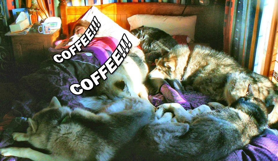 ☕ Your Sat Perkup: No Spoilers, Public Domain Goodies, Affiliate Marketing, Software, 2500 HD Videos, more!