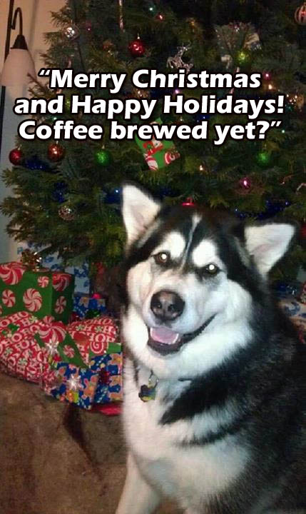 ☕ Your Tuesday Perkup: 3:30am, Wow, 2018 Affiliate Marketing, Fiverr Software, XMAS PLR Sale, more! ☕ Your Tuesday Perkup: 3:30am, Wow, 2018 Affiliate Marketing, Fiverr Software, XMAS PLR Sale, more!