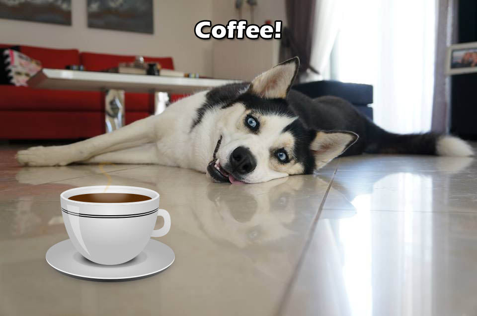 ☕ Your Thur Perkup: It Never Fails, The Holidays, Buy Button Goodies, PLR Firesale, 15+ Products Firesale, more! ☕ Your Thur Perkup: It Never Fails, The Holidays, Buy Button Goodies, PLR Firesale, 15+ Products Firesale, more!