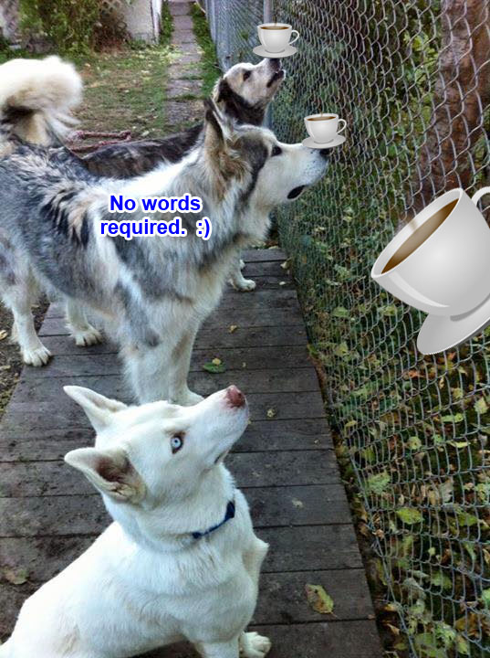 ☕ Your Thursday Morning Perkup:  1954, Malware Found, Clickbank, CJ, ShareaSale, PLR, Massage, more!