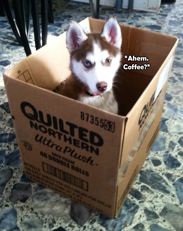 ☕ Your Saturday Perkup: No AC, Juicing PLR, eBay, Amazon, AlieExpress, 77 days, Offline, more!