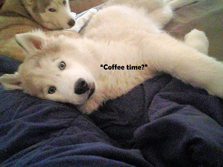 ☕ Your Fri Perkup:  BARBVIP List, AI, Tiktok, 25 Clickbank, Social Goodies, more!