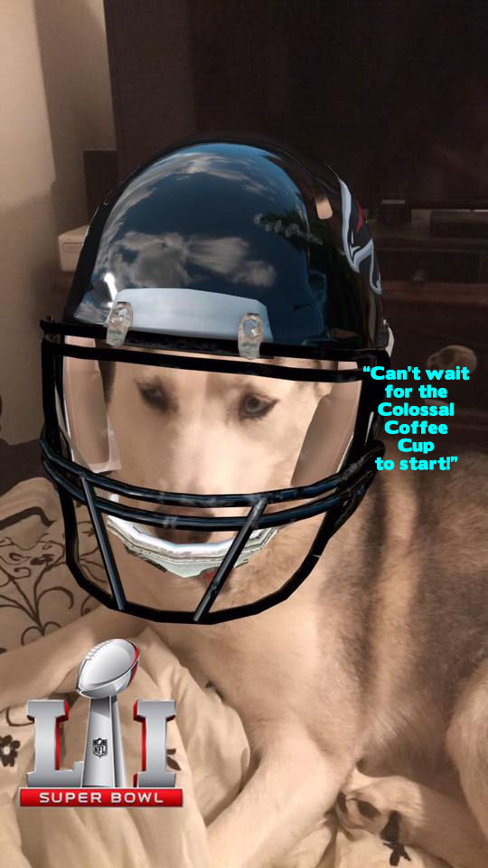☕ Your Monday Morning Perkup:  1947, Moose Bowl, Viral Azon, Copywriting Software, Pinterest, Blogging, more!