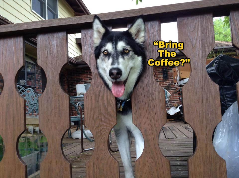 ☕ Your Saturday Morning Perkup:  1957, BatB, Top Aff Sellers, Amazon Affiliates, MMO, more
