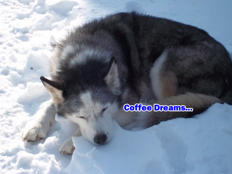 ☕ Your Sunday Morning Perkup:  1933,  Made 2.1K in 5 days, sheer hheeeel, IM Clinic, Newbies, more!