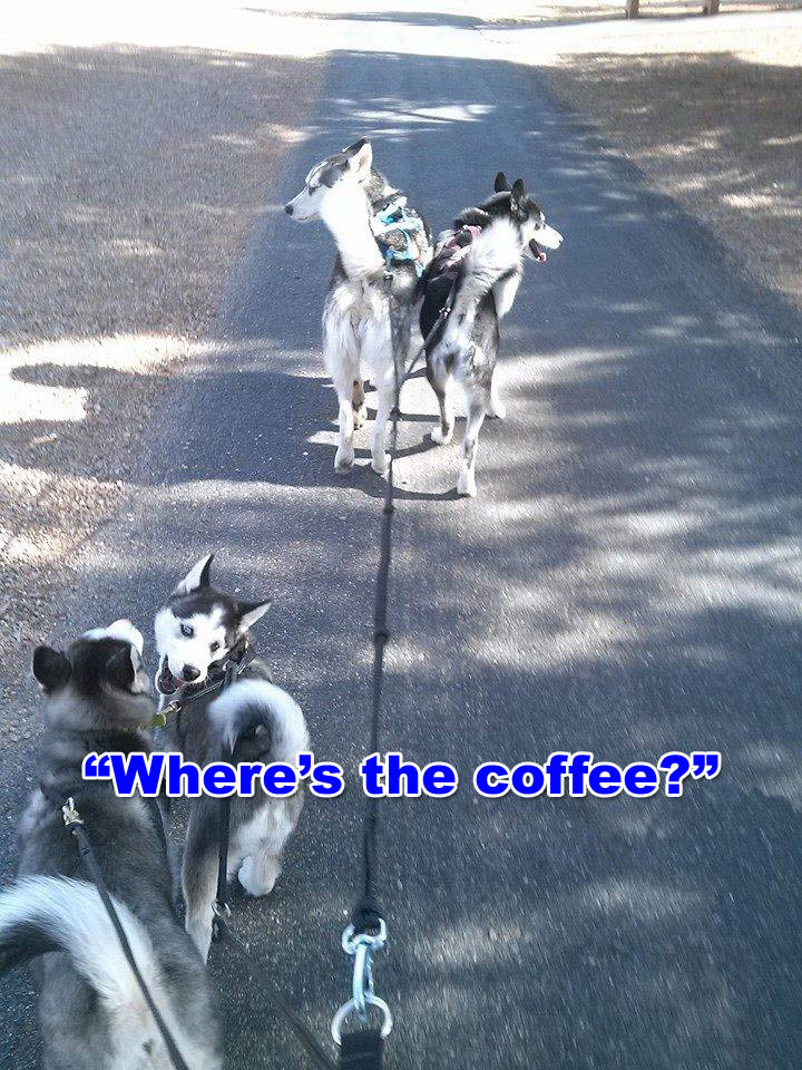☕ Your Monday Morning Perkup:  1844, Heck Froze over, 48% off Tiff Lambert’s PLR, Many Chapters, more!