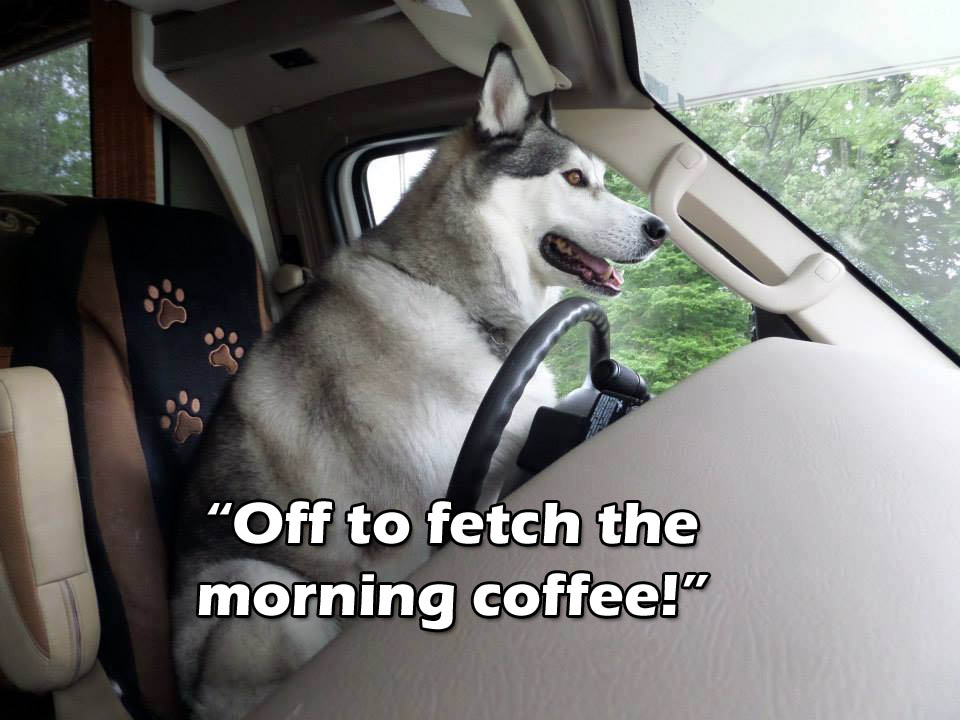 ☕ Your Friday Morning Perkup: 1141, Stop the world, Easter PLR, Affiliate Newbies, Story time, more!