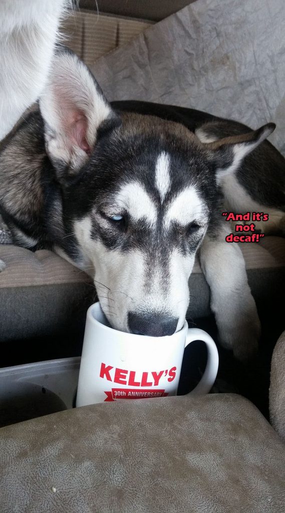☕ Your Saturday Morning Perkup: 1876, No hot water, Teardown, Fiverr, Traffic, One Million, PLR, more! ☕ Your Saturday Morning Perkup: 1876, No hot water, Teardown, Fiverr, Traffic, One Million, PLR, more!