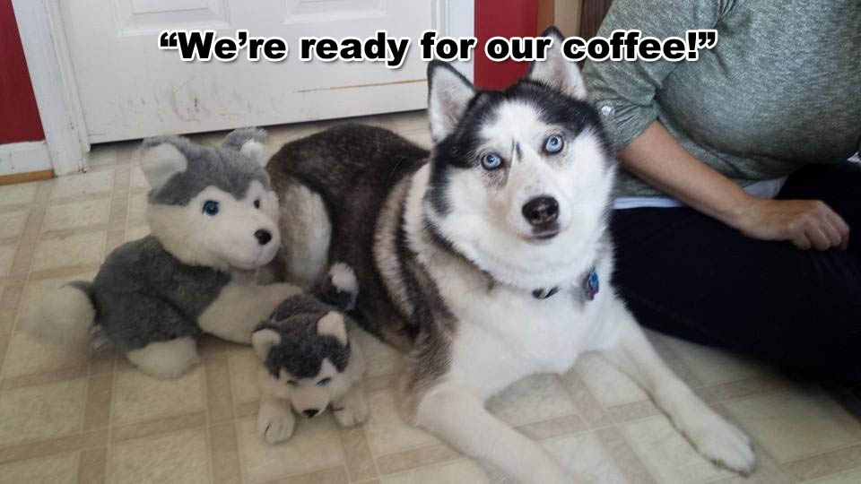 ☕ Your Saturday Morning Perkup:  2004, Sean Mize, Heroes, Affiliate Marketing, Weirdies, April Fools Day, more!