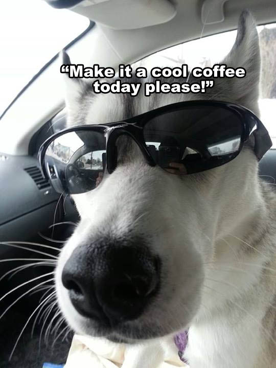☕ Your Wednesday Morning Perkup: 2000, ENDS 9AM TODAY, Azon Xmas in May, Fiverr, Cheatsheets, MMO more!