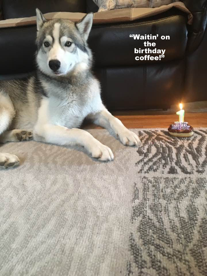 ☕ Your Saturday Morning Perkup:  1907, Heck Froze Over, Plague, eMail, Mobile, Page Builder, Fiverr, more!