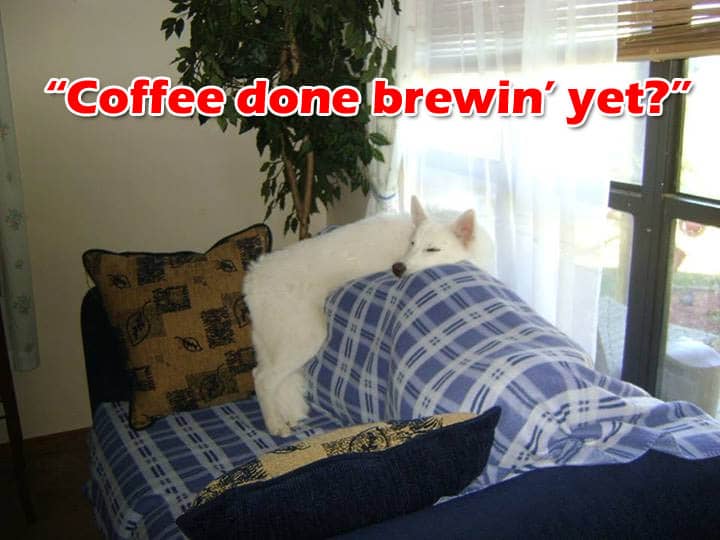 ☕ Your Sunday Perkup:  1776, 357603 mile drive, Offline, Memes, Videos, Affiliate Goodies, more!