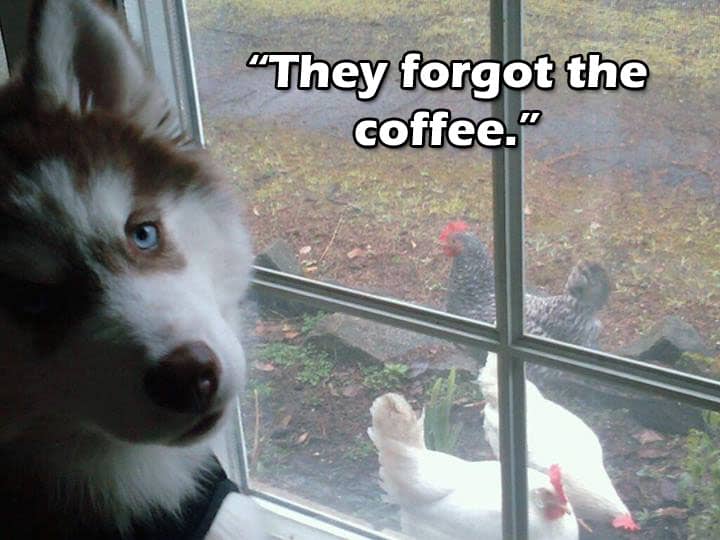 ☕ Your Friday Perkup: Apologies, 100+ eCovers, Pay Per Call, Holiday Printables Made Easy, Crypto, more!