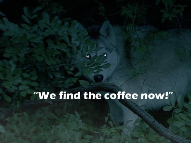 ☕ Your Friday Perkup:  2007, Being let down, Viral, Buzzfeed, Little Things, Software, In the End, more!
