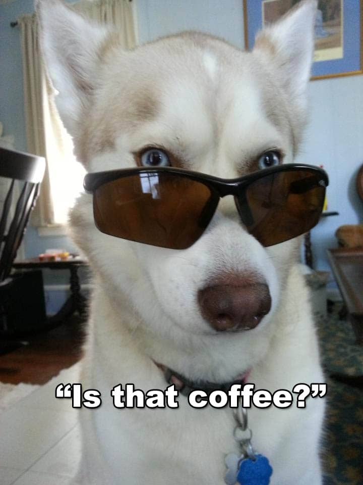 ☕ Your Sunday Perkup: 1962, Stop the world, reframing, Coupons, Amazon, Cloning, PLR, more