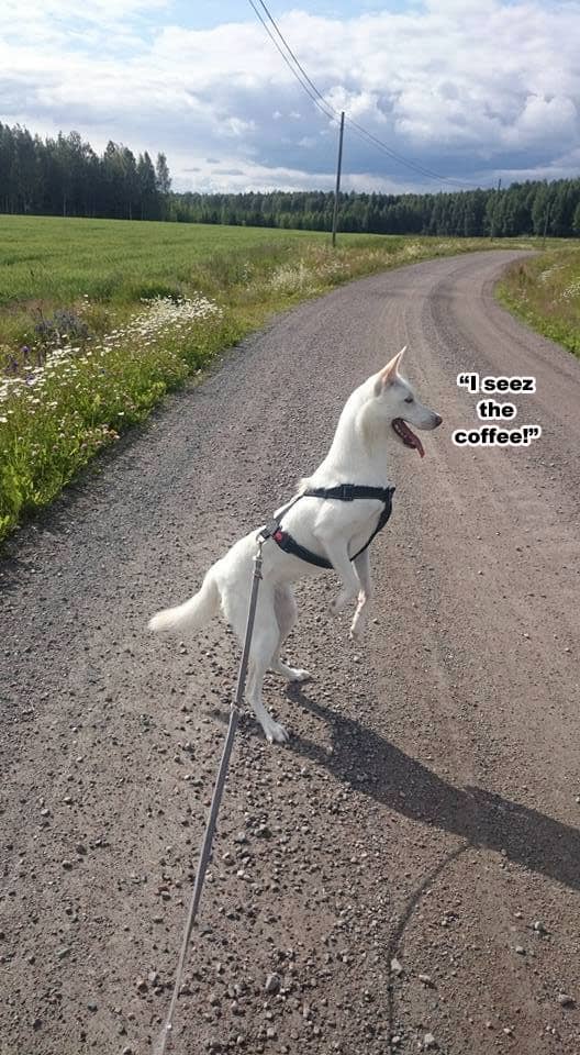 ☕ Your Thursday Perkup:  1885, Science, Shattered, Memes, Newbies, Traffic, Amazon, more!