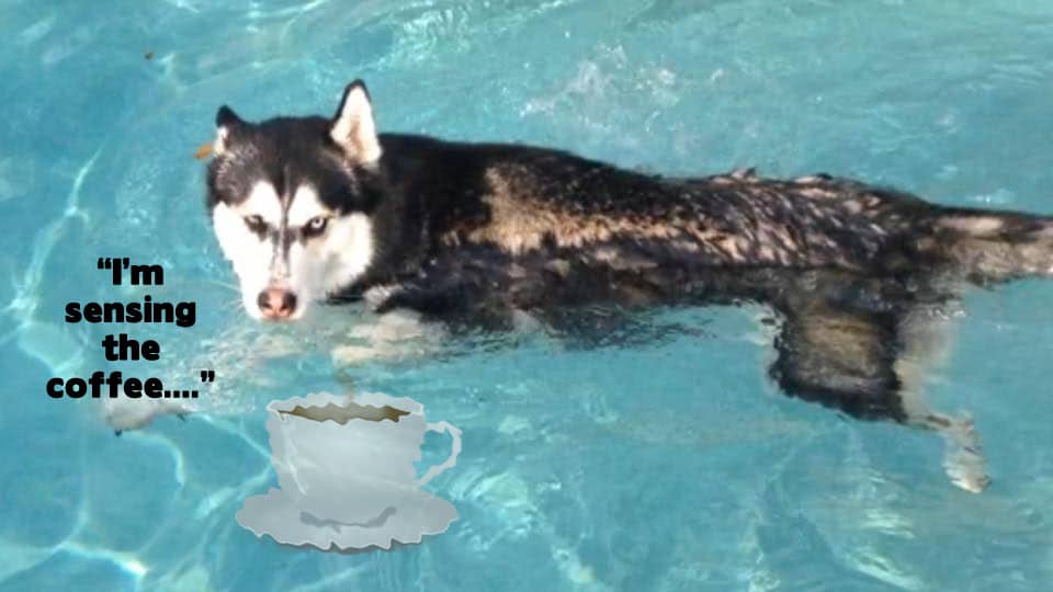 ☕ Your Monday Perkup: 1884, Doom Beaks, Reputation Manglement, Fiverr, PLR, Survival, more!