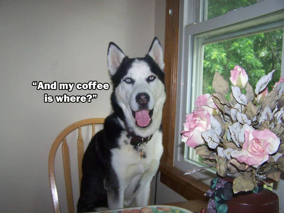 ☕ Your Friday Perkup: 1969, Streroids, eCom, Amazon, Social, More!