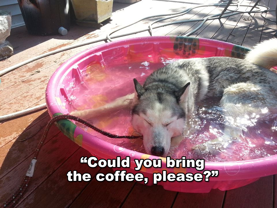 ☕ Your Wednesday Perkup: 1989, Amazon S3, Coupon, Azon Software, Desktop, Newbies, more!