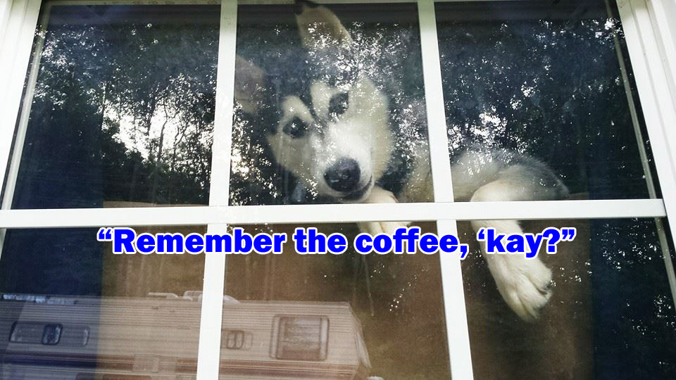 ☕ Your Tuesday Perkup: 1981, 2:30am, Memes, Controversial, FB Marketplace, Solos Ads, Crypto, Sleep, more?