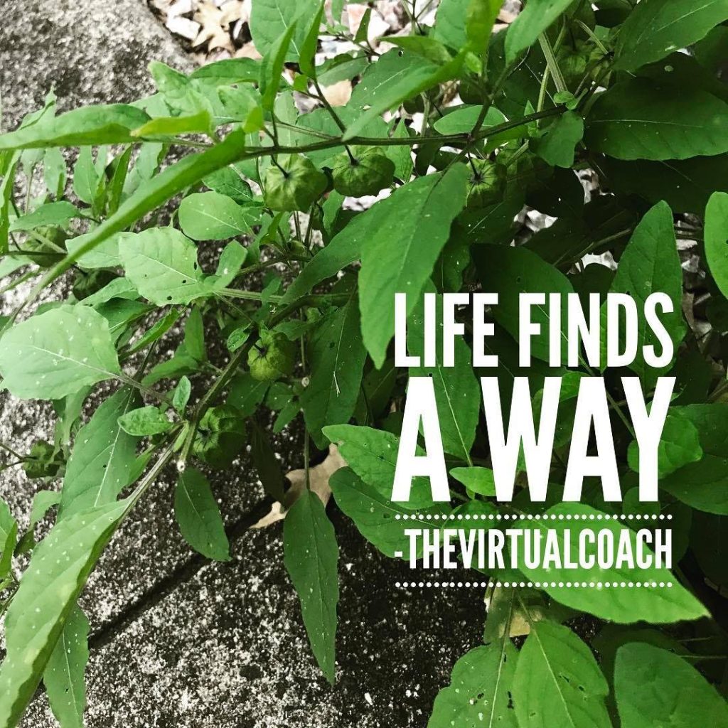 20 Internet marketing lessons from the trenches