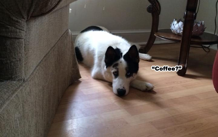 ☕ Your Tuesday Perkup: Well that was a disaster.